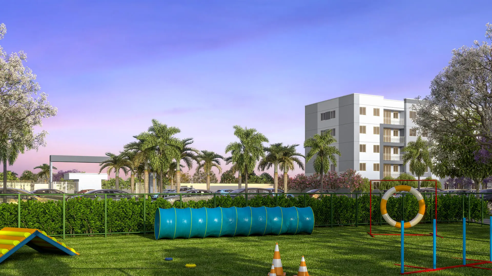 pet-place-vibe-sunset-Riva